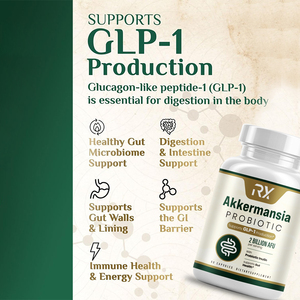 Cápsulas Probióticas de Arándano Herbal Oem con Akkermansia GLP-1, Favorecen la Salud Intestinal y Digestiva - Product Image 3