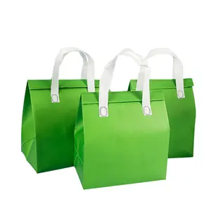 Onwoven-bolsas refrigeradoras desechables biodegradables, bolsas térmicas de papel de aluminio con sello térmico a prueba de fugas para helados