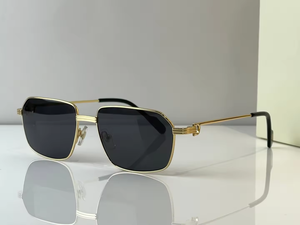 Lunettes de soleil de luxe 2025 pour hommes et femmes, lunettes de soleil rectangulaires personnalisées de créateur, lunettes de soleil carrées tendance 2025, UV400 - Product Image 4