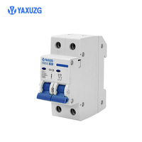 Interruptores de Circuito en Miniatura de Alto Voltaje de Impulso (4000 V) Más Vendidos, Material de Cobre, Duraderos, MCB