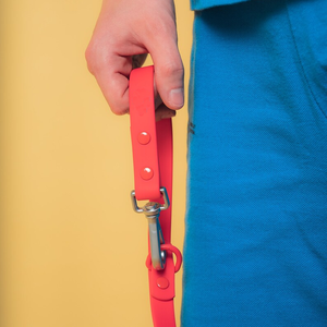 Guinzaglio resistente in PVC guinzaglio per cani con stampa personalizzata e nastri impermeabili all'ingrosso guinzaglio per cani - Product Image 6