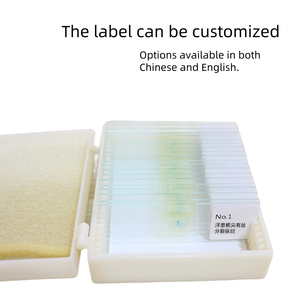Lames préparées de Sarcoptes Scabiei pour adultes, spécimens biologiques de laboratoire pour l'enseignement de la biologie médicale et la recherche en laboratoire - Product Image 3
