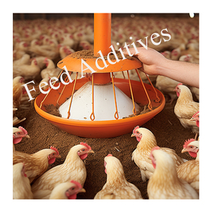 망간 가격 - Product Image 3