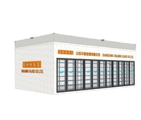 Les panneaux de chambre froide marchent dans la chambre froide préfabriquée de chambre froide économiseur d'énergie le magasin cryogénique à basse température lambrisse l'appui de secours