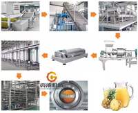L'extracteur industriel de jus de mangue faisant la machine a utilisé la chaîne de production complète de jus de mangue pour le jus de goyave d'orange de passion