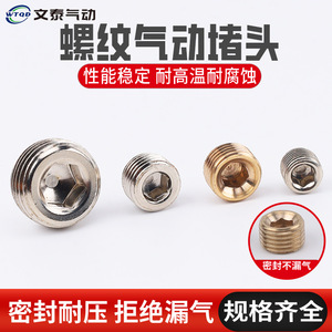 Wentai Pneumatics – Vis de réglage hexagonale filetée tout en cuivre nickelé pour collecteur pneumatique et équipement automatisé - Product Image 5