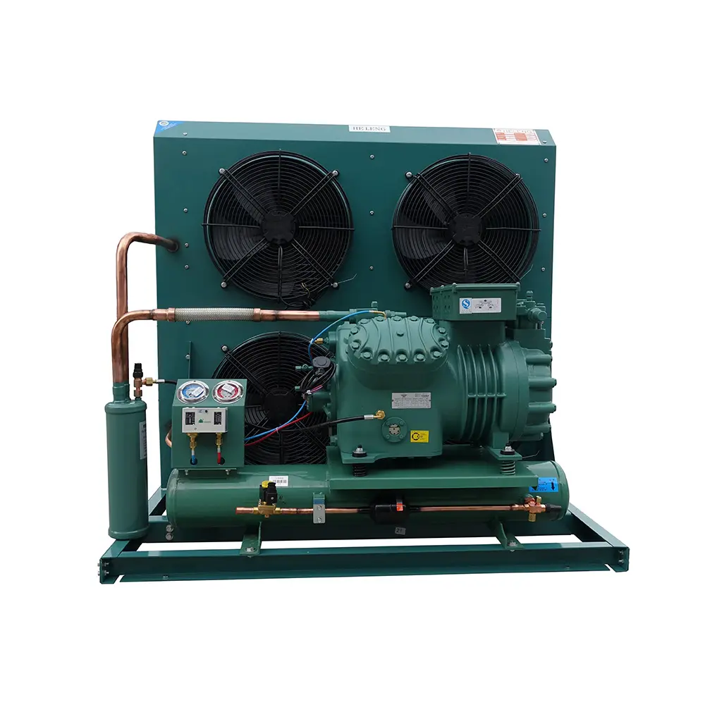 Las unidades de condensación energéticamente eficientes producidas por los fabricantes Source se utilizan en el almacenamiento en frío y en tiendas de restaurantes.