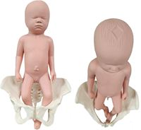 Ensemble de modèles d'accouchement KyrenMed modèle de bassin féminin grandeur nature et poupée bébé avec cordon ombilical modèle d'accouchement placenta