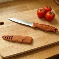Fabrieksgroothandel RVS draagbaar rood fruitmes milieuvriendelijk keukengerei ambidextrous pp 10cm lemmet geweldig voor schillen