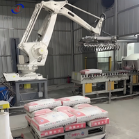 Palettiseur robotisé à fonctionnement continu 24H avec servomoteur et boîte de vitesses PLC pour la manutention de palettes de cartons de boissons et de produits surgelés en entrepôt frigorifique