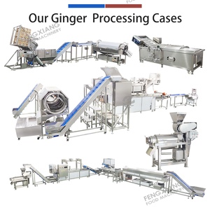 เครื่องสกัดน้ำขิงขนาด 0.5-2 ตัน/ชม. จากโรงงาน พร้อมสายการผลิตสำหรับล้างและแปรรูปขิง - Product Image 6