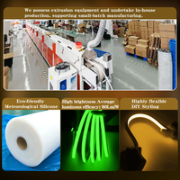 Tira de Luz LED Inteligente Flexible de Neón RGB RGBW, 5m 10m 12V 24V, Longitud Personalizada, Letrero de Neón de Silicona 12V 24V IP67 para Cajas de Luz de Tiendas