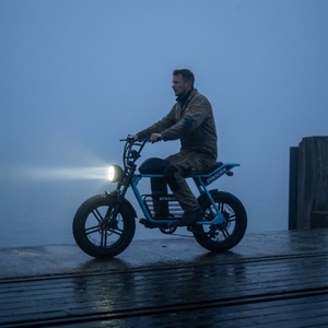48V Elektrofahrrad mit 20-Zoll-Reifen, Harbor E-Bike für Hafeninspektion - Product Image 5