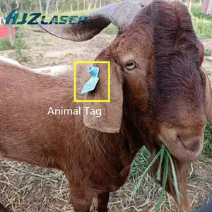 Animal Cattle Ear Tag Printer 20w Laser Fiber Marking Machine 30w For Plastic ABS Ear Tag Printing