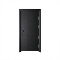 Portes de sécurité pour entrée de maison, porte extérieure pivotante, serrure intelligente numérique, porte de sécurité en acier imperméable, portes extérieures doubles