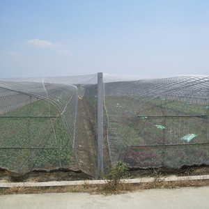 ตาข่ายป้องกันแมลง HDPE 25/40/50ตาข่ายป้องกันแมลงในสวนผู้ผลิตแมลงป้องกันพืชผักเพื่อการเกษตร - Product Image 5