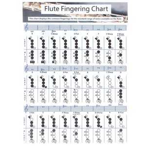 Tabla de <span class=keywords><strong>Acordes</strong></span> <span class=keywords><strong>para</strong></span> <span class=keywords><strong>Flauta</strong></span> de 28x21 cm, Ayuda Didáctica <span class=keywords><strong>para</strong></span> Principiantes, Accesorio <span class=keywords><strong>para</strong></span> Instrumento Musical - Product Image 2