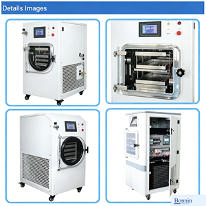 LG-03 <b>Small</b> Laboratory Vacuum Freeze Dryer <b>Machine</b> with Pump PLC & Motor for Food Processing 220V Energy Saving - Product Image 2