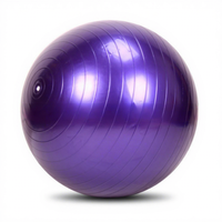 Ballon de yoga en PVC de 55 cm - Anti-explosion, épaissi, pour le soutien du dos, l'exercice, la danse et le fitness
