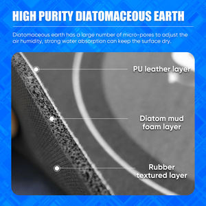 Tapis absorbant l'eau de salle de bain Tapis de porte en caoutchouc Tapis de sol en boue de diatomée Tapis antidérapant Tapis de bain moderne lavable à séchage rapide - Product Image 4