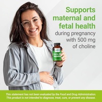 Capsules végétaliennes de choline 500 mg à marque privée OEM pour le soutien cognitif, la santé du foie et le bien-être maternel