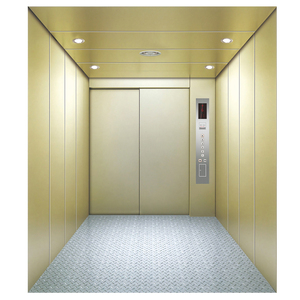 Nuevo 630 ~ 5000 Kg 1 M/S Oficina comercial Transporte de mercancías Elevador de carga Precio - Product Image 1