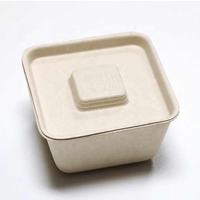 Boîte d'emballage de bagasse de canne à sucre avec logo personnalisé ensemble de bols carrés pour déjeuner eau et soupe en papier de riz