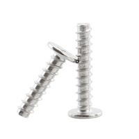 Vis autotaraudeuse à tête plate ultra-fine et profil bas en acier inoxydable 304 316 pour plastique