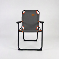 Chaise pliante en métal pour camping en plein air, ultra-légère, portable, pour la plage, utilisation en parc, design moderne, chaise Kermit