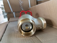 Robinet de décharge d'hydrant de sécurité (fer/laiton/alliage d'aluminium) à valve unique, sortie unique, rouge, équipement de lutte contre l'incendie d'occasion