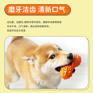 Yite Dog Rubber Whistle <b>Dumbbell</b> Teething Toy Medium Interactive Chew Pet Toy - Product Image 5