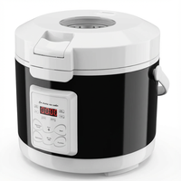 Cuisinière à riz électrique portable 12V/24V 3L, minuterie numérique et maintien au chaud, pour voiture, camion, camping-car, camping en plein air (certifié CE)