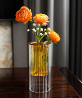 Vase en verre transparent à rayures nordiques, décoration aromatique détachable, double paroi, hydroponique, pour fleurs, écologique