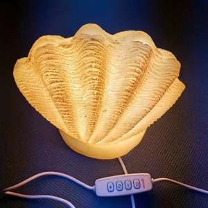 <span class=keywords><strong>LUZ</strong></span> <span class=keywords><strong>DE</strong></span> DORMIR NOCTURNO HECHA <span class=keywords><strong>DE</strong></span> CONCHA <span class=keywords><strong>DE</strong></span> <span class=keywords><strong>MAR</strong></span> <span class=keywords><strong>LUZ</strong></span> <span class=keywords><strong>DE</strong></span> DORMIR <span class=keywords><strong>DE</strong></span> CONCHA <span class=keywords><strong>DE</strong></span> <span class=keywords><strong>MAR</strong></span> <span class=keywords><strong>DE</strong></span> ALTA CALIDAD - Product Image 6