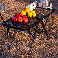 Table d'extérieur Portable pour Camping pique-nique plage BBQ 3 niveaux hauteur en aluminium Table de pique-nique pliante 3x2FT maille bureau