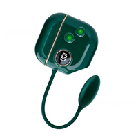 Œuf vibrant étanche IPX7 pour femmes, forte vibration, stimulateur clitoridien et des mamelons, masseur du point G, jouets sexuels pour adultes