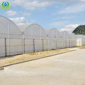 Invernadero de plástico hidropónico para jardín, tubería galvanizada para agricultura de caracol