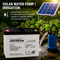 Batterie au plomb scellée AGM à décharge profonde PATTERN 12V 50Ah, puissance de base fiable pour pompe à eau solaire et irrigation