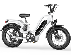 2024 ue états-unis entrepôt approvisionnement direct chine femmes Sport électrique VTT 48V 25AH batterie au Lithium système de frein à disque graisse - Product Image 5