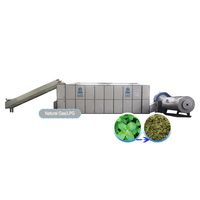 Séchoir à menthe à haut rendement, machine de séchage de feuilles de menthe poivrée pour équipement de séchage d'herbes