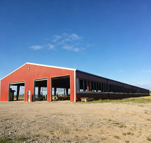 Bâtiment Agricole Préfabriqué en Acier : Hangar, Étable, Abri pour Bovins – Montage Facile, Conception Préfabriquée - Product Image 3