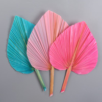 Lá Cọ Khô Tự Nhiên Quạt Khô Sun Spade Tẩy Trắng Hoa Tường Backdrop Lá Cọ