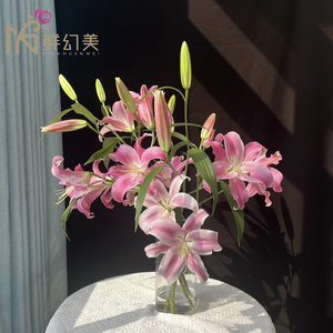 ताजा कट गुलाबी रोबिना लिली गुलदस्ते, प्रति डंठल 2 तने, लंबे वेस जीवन 10 + दिन, युन्नान फार्म से - Product Image 4