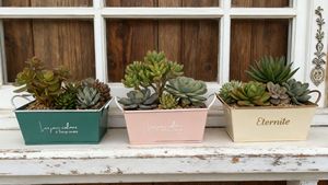Wholesale Low-Priced French Retro Style Wrought Iron Square Flower Pots Succulent <strong>Planters</strong> for Gardens Courtyards Villas - Product Image 6