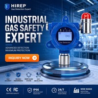 HIREP Detektor Gas Mudah Terbakar Profesional Anti Ledakan ATEX LEL Monitor Dengan Alarm untuk Industri Minyak Gas OEM
