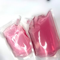 Transparante hersluitbare stand-up pouch met uitgiettuit, voedselveilige PET/PA/AL, gravure bedrukt, aanpasbaar, recycleerbare verpakking voor mineraalwater