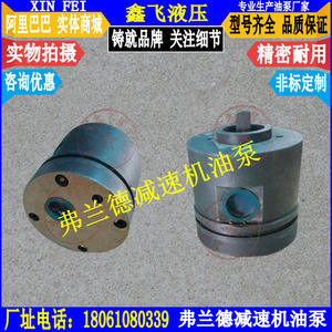 Flander Modular Hardened Gearbox Lubricating Oil Pump H1SH51003B for Differential Oils - Product Image 1