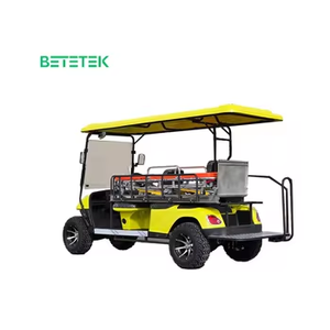 Ambulancia de Emergencia Profesional con Camilla, Mini Ambulancia Eléctrica, Carro de Golf y Buggy Médico para Personas con Discapacidad - Product Image 2