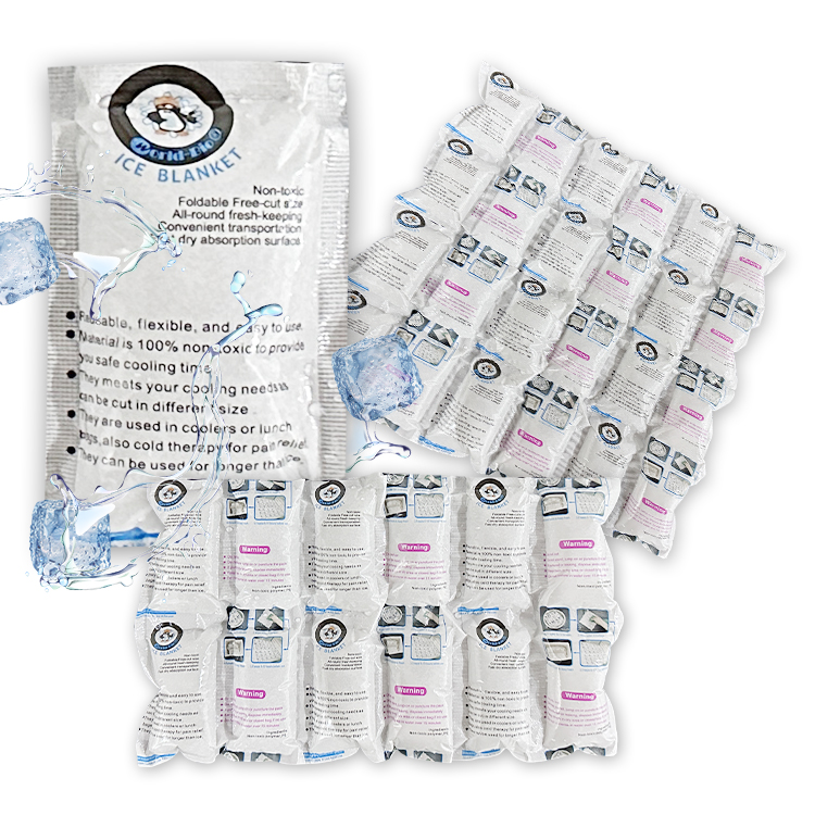 Hot Selling Dry Ice Packs Cooler Bag Ice Boxes Reusable Dry Ice Pack Sheets For Cold Fresh Food Shipping
