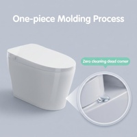 Fabrieks prijs slim toilet verlengde pot P-Trap/S-Trap compact formaat 675mm verwarmde zitting voet sensor spoeling nachtlampje vloermodel